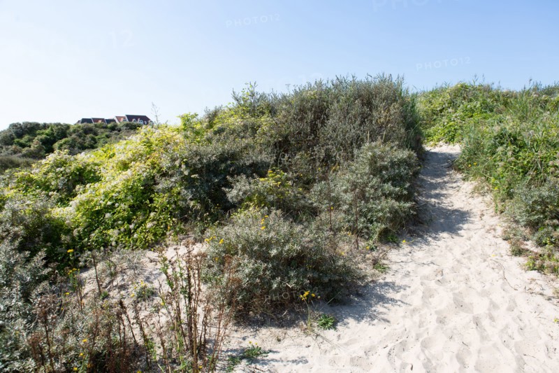 Cucq  Stella Plage (Côte d'Opale), dunes de Mayville