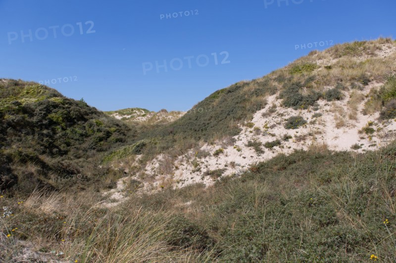 Cucq  Stella Plage (Côte d'Opale), dunes de Mayville