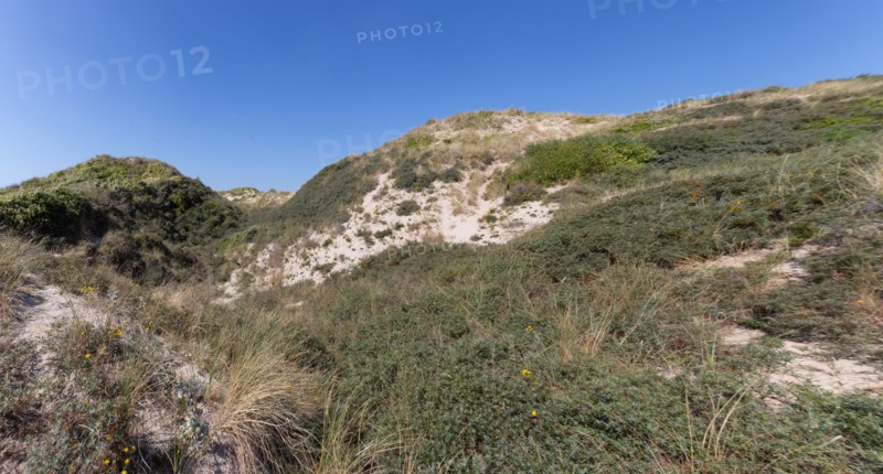 Cucq  Stella Plage (Côte d'Opale), dunes de Mayville