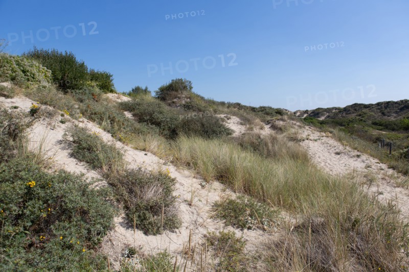 Cucq  Stella Plage (Cote d'Opale), dunes of Mayville