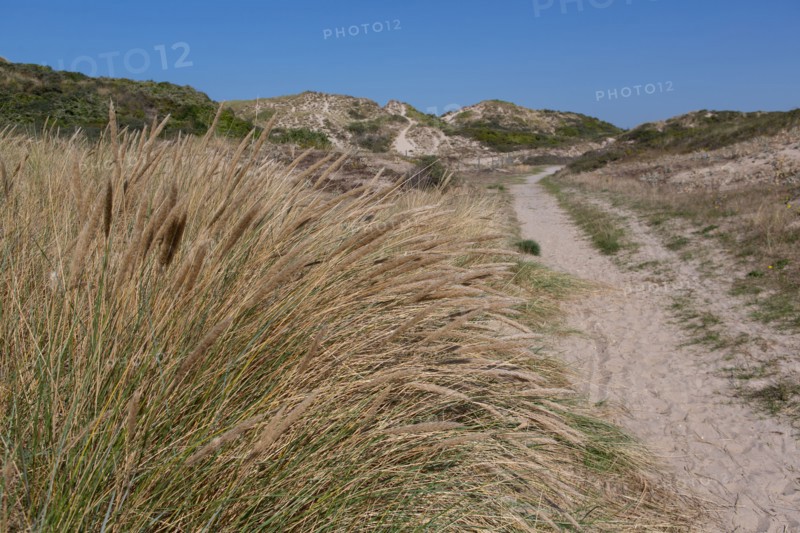 Cucq  Stella Plage (Côte d'Opale), dunes de Mayville