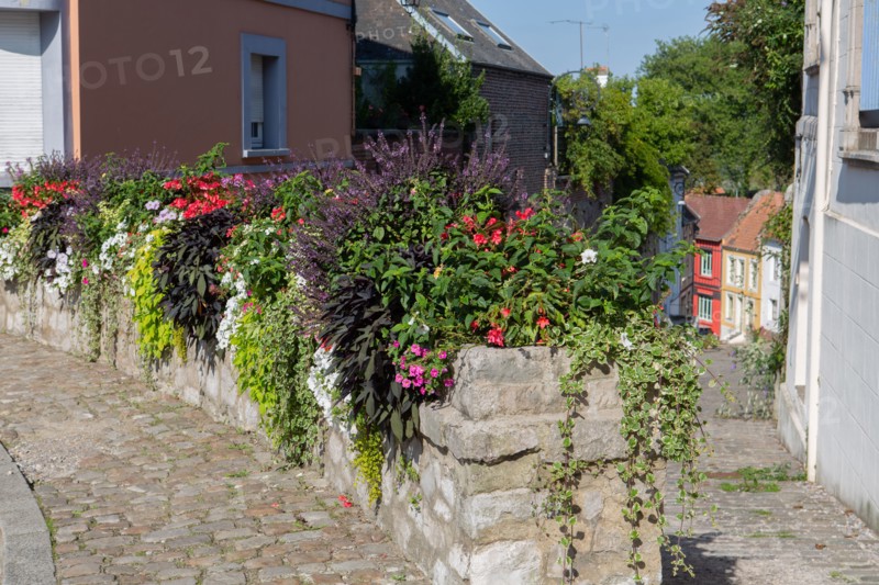 Montreuil-sur-Mer, parvis Saint-Firmin,