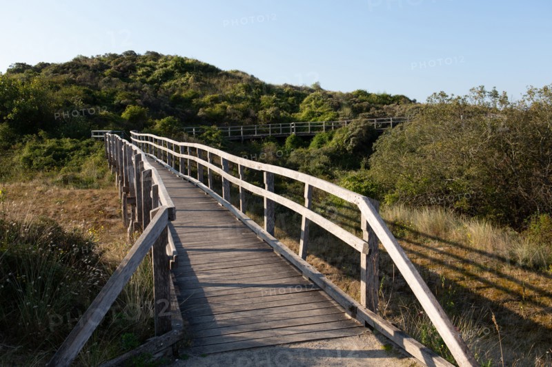 Merlimont Plage, sentier de découverte de la dune parabolique