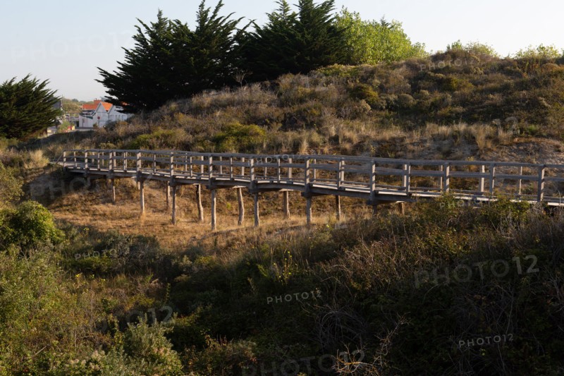 Merlimont Plage, sentier de découverte de la dune parabolique
