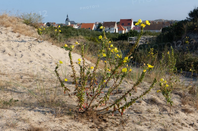 Merlimont Plage, educational trail