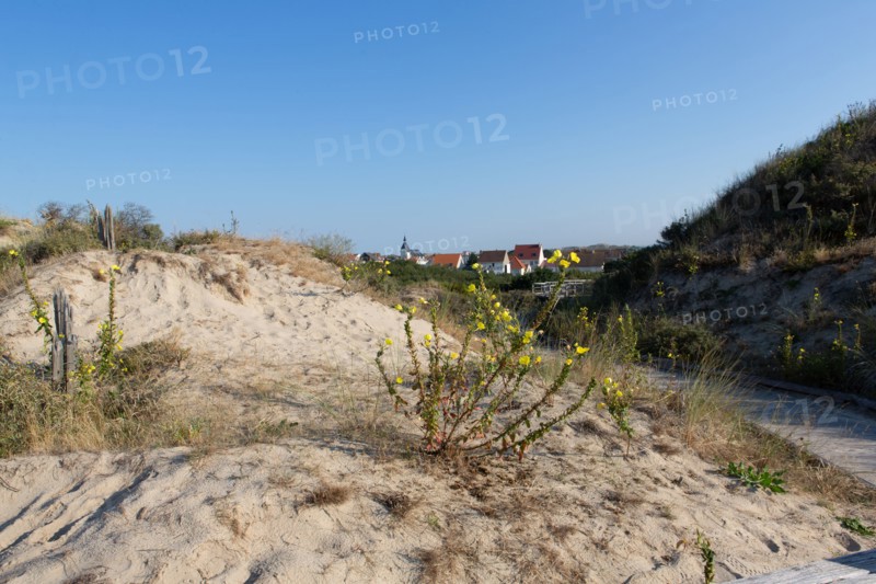 Merlimont Plage, sentier de découverte de la dune parabolique