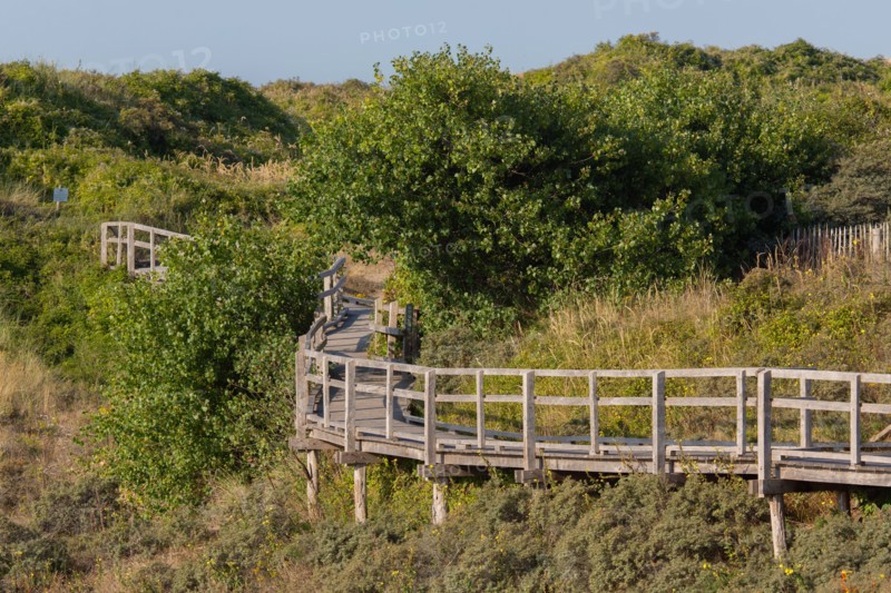 Merlimont Plage, sentier de découverte de la dune parabolique
