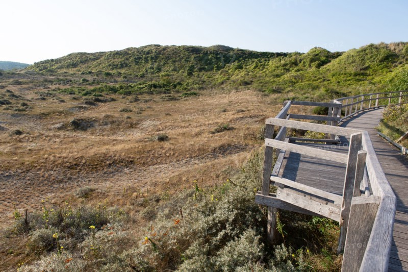 Merlimont Plage, sentier de découverte de la dune parabolique