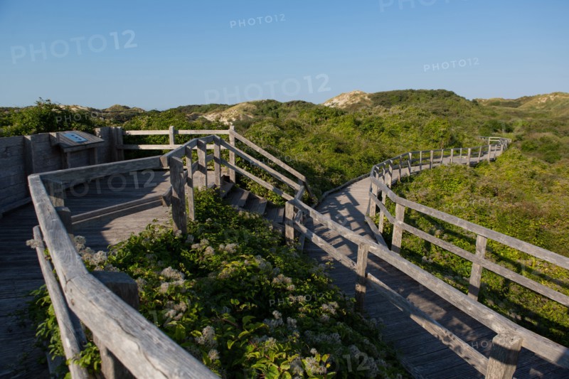 Merlimont Plage, sentier de découverte de la dune parabolique