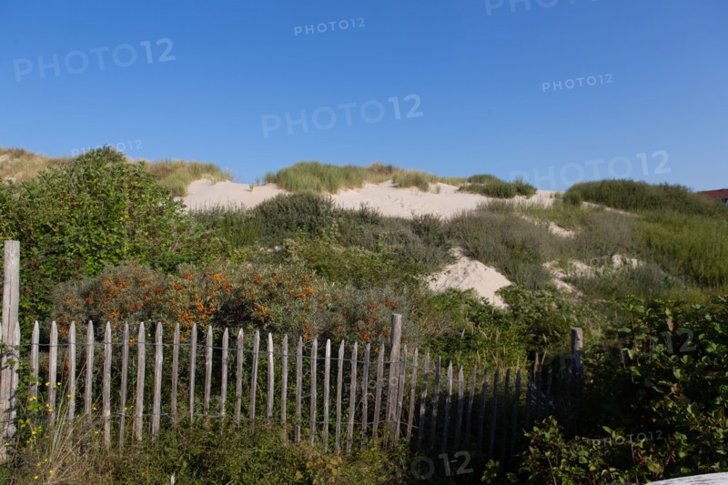 Merlimont Plage, bande dunaire sur le front de mer