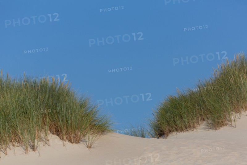 Merlimont Plage, bande dunaire sur le front de mer