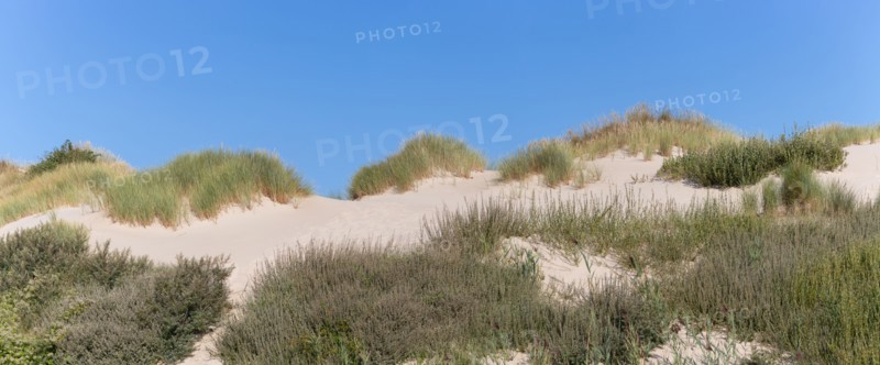 Merlimont Plage, dune on the seafront