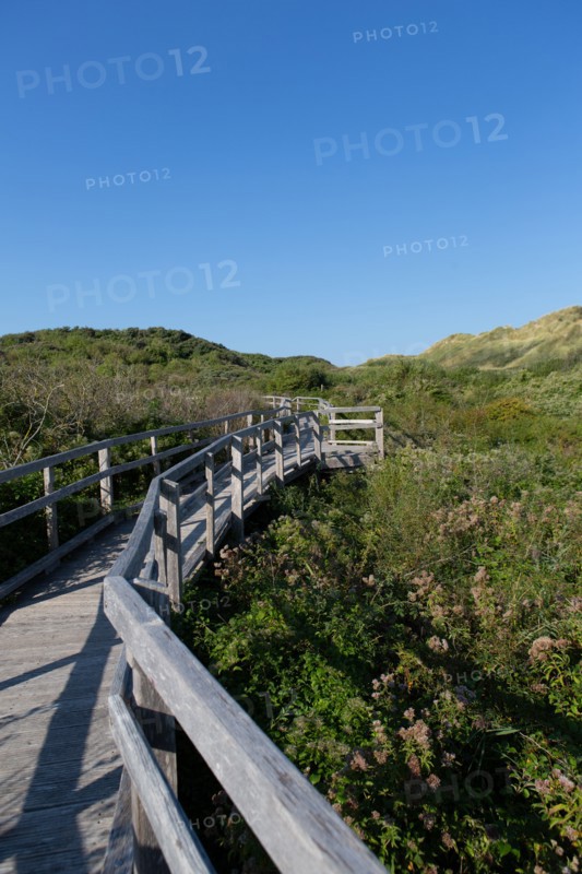 Merlimont Plage, sentier de découverte de la dune parabolique