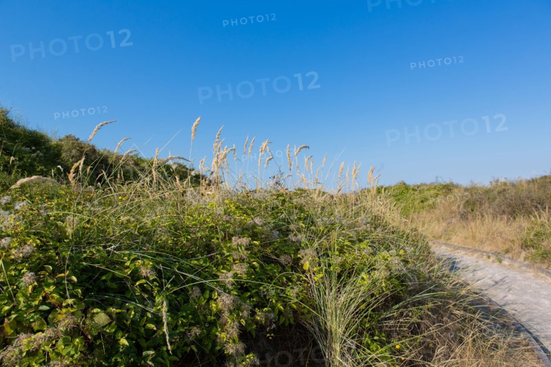 Merlimont Plage, educational trail