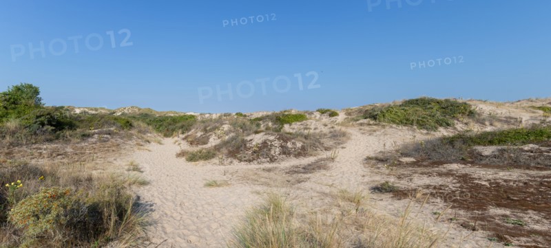 Merlimont Plage, Stella-Merlimont dunes