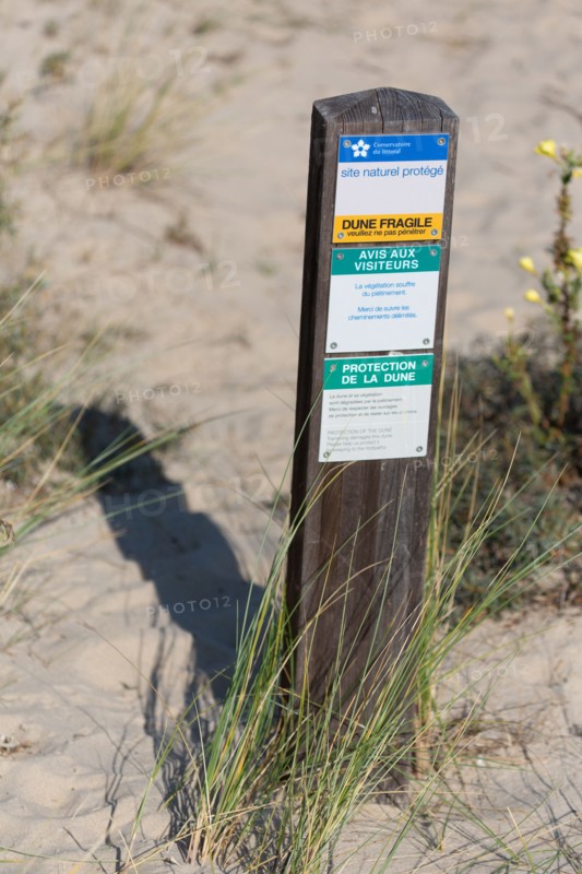 Merlimont Plage, dunes de Stella-Merlimont