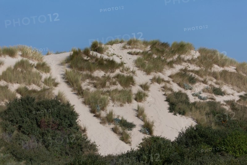 Merlimont Plage, dunes de Stella-Merlimont