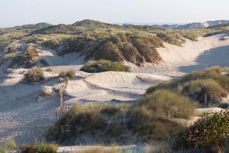 Merlimont Plage, dunes de Stella-Merlimont