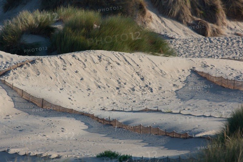 Merlimont Plage, dunes de Stella-Merlimont