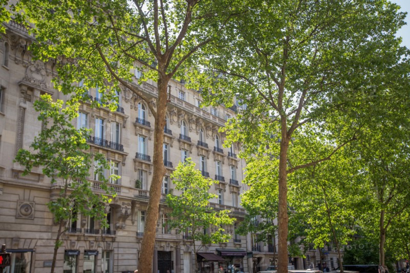 Paris, building 17 boulevard Raspail