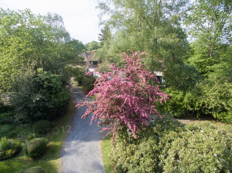 Campigny, hôtel restaurant Le Petit Coq aux Champs