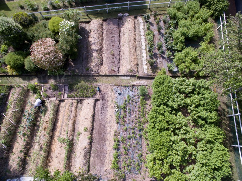 Campigny, hotel restaurant Le Petit Coq aux Champs, permaculture vegatable garden