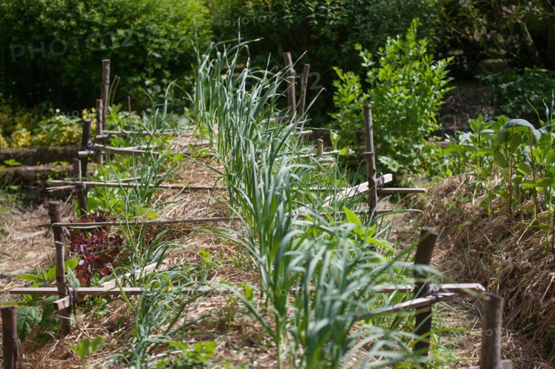 Campigny, hotel restaurant Le Petit Coq aux Champs, permaculture vegatable garden