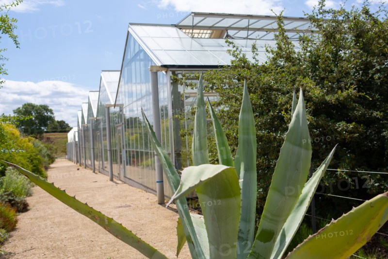 Le Havre, jardins suspendus, Fort de Sainte Adresse