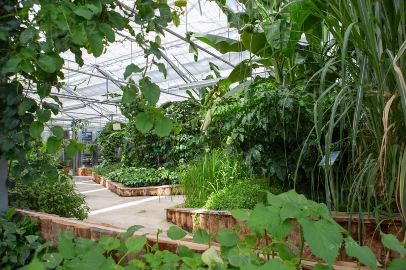 Le Havre, hanging gardens, Fort de Sainte Adresse