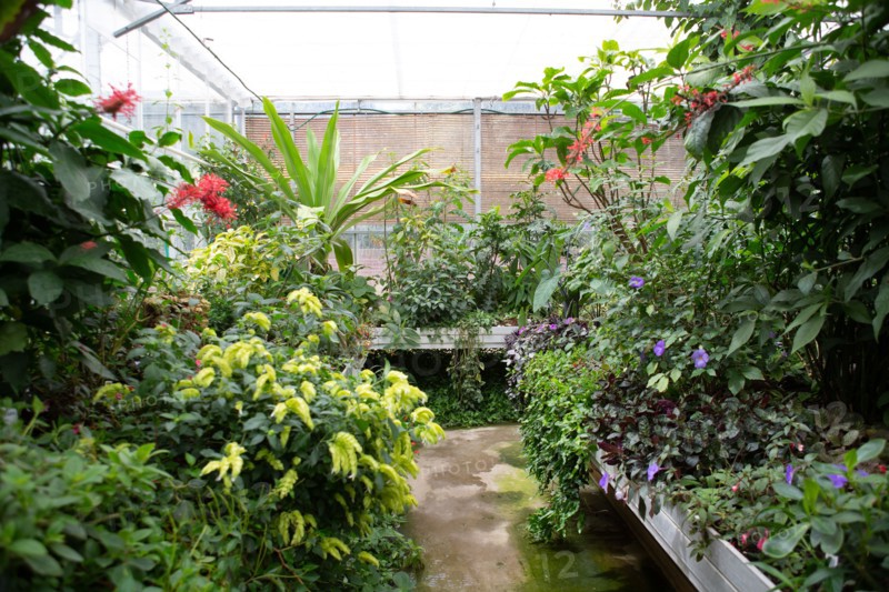 Le Havre, jardins suspendus, Fort de Sainte Adresse