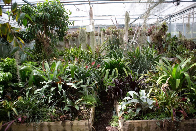 Le Havre, hanging gardens, Fort de Sainte Adresse
