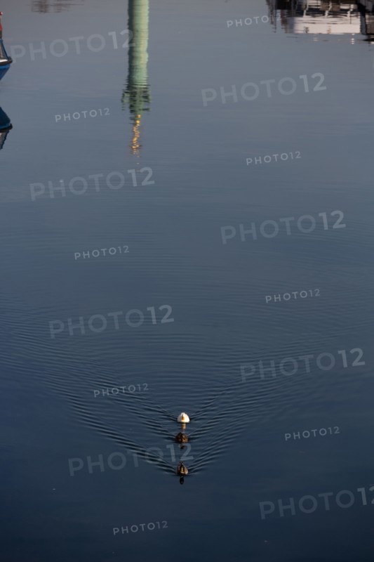Paris, the Bassin de l'Arsenal (Port de l'Arsenal)