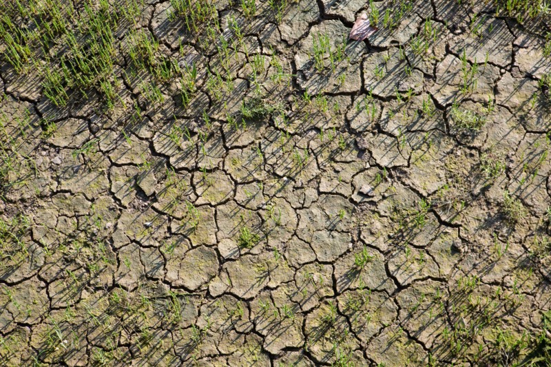 Deauville, dry land at the bottom of the Touques
