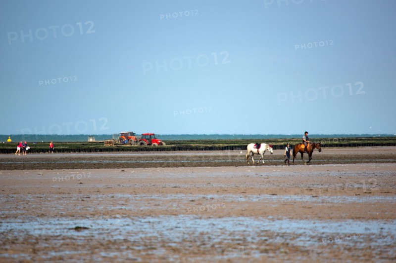 Côte de nacre, landing beaches
