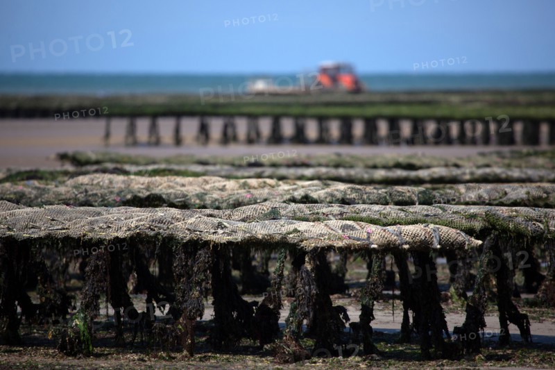 Côte de nacre, landing beaches