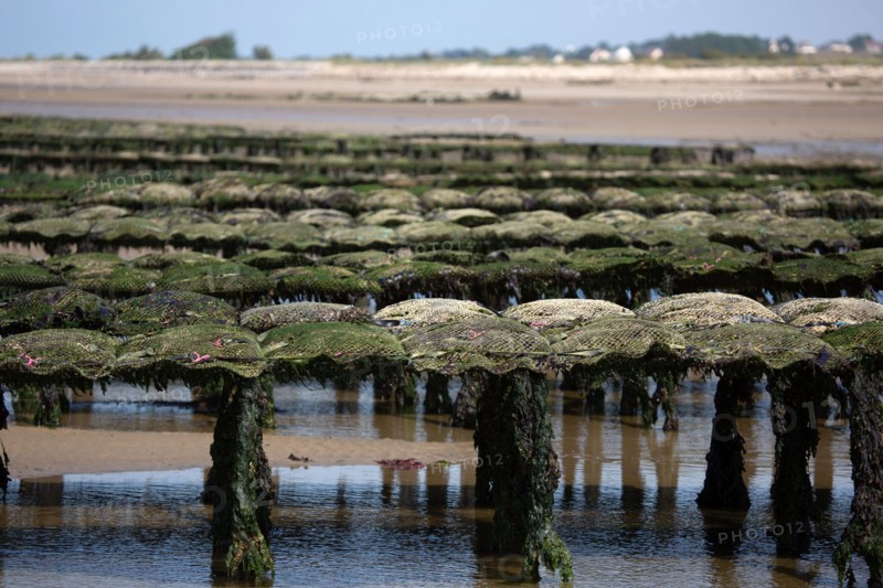 Côte de nacre, landing beaches