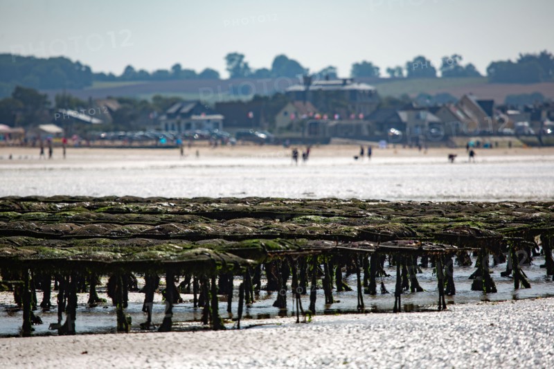 Côte de nacre, landing beaches