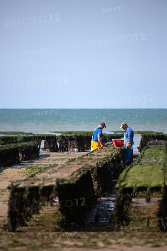 Côte de nacre, landing beaches