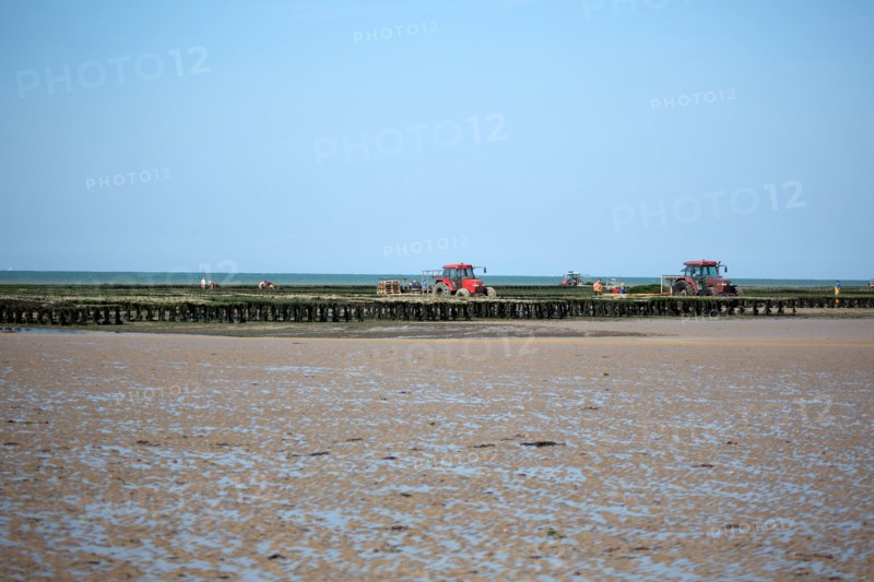 Côte de nacre, landing beaches