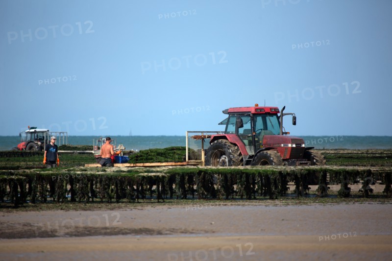 Côte de nacre, landing beaches