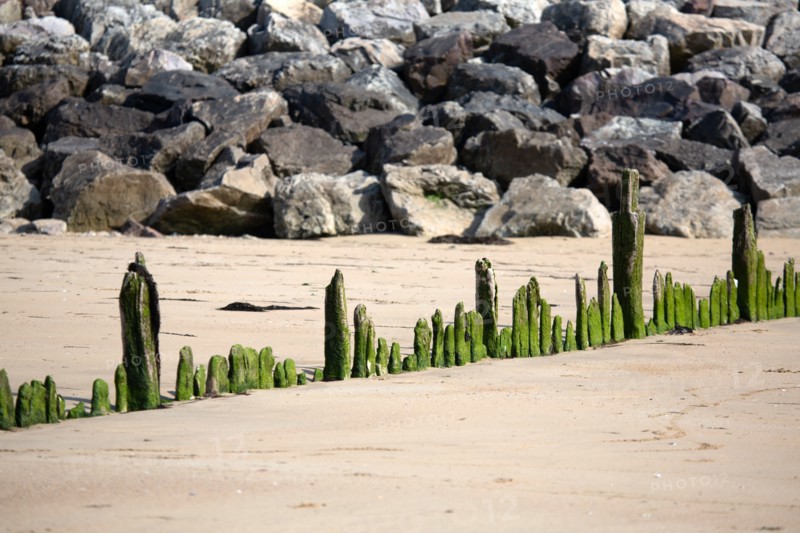 Côte de nacre, landing beaches