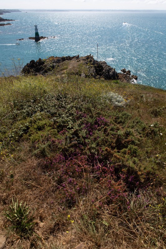 Pleneuf Val André, coastal path