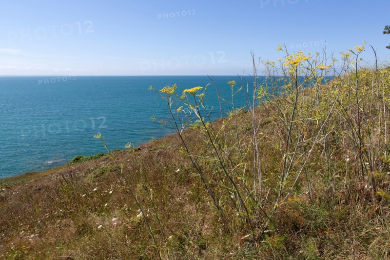Pleneuf Val André, coastal path