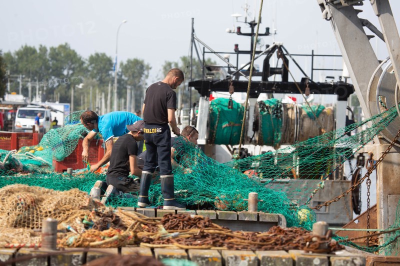 Darning nets, Calvados