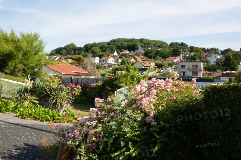 Saint-Martin-en-Campagne, Seine Maritime