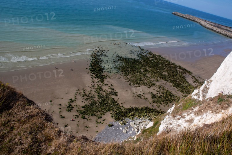 Saint-Martin-en-Campagne, Seine Maritime