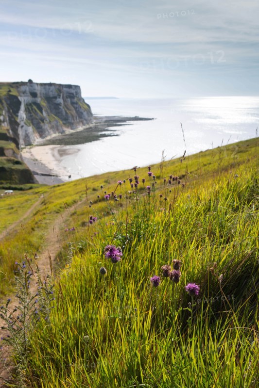 Saint-Martin-en-Campagne, Seine Maritime