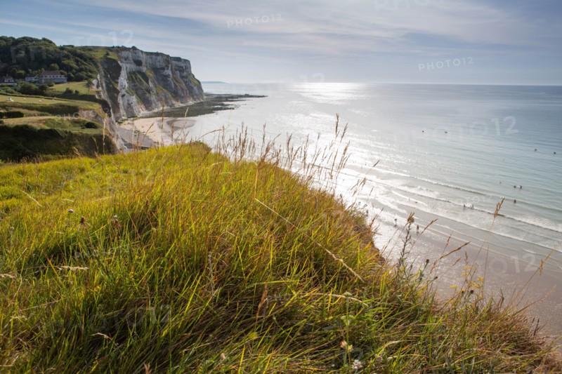 Saint-Martin-en-Campagne, Seine Maritime