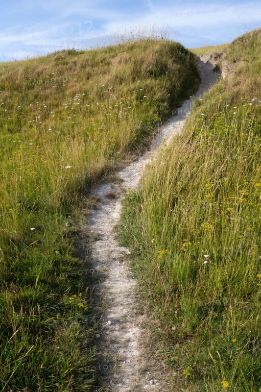 Saint-Martin-en-Campagne, Seine Maritime