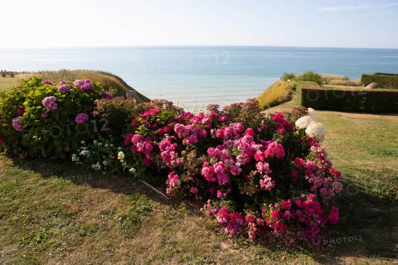 Saint-Martin-en-Campagne, Seine Maritime